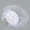 Wholesale of Amazon's new fashionable face cover gauze hat for summer women, flower-patterned gauze fashion hat and face cover top hat Application Scenario